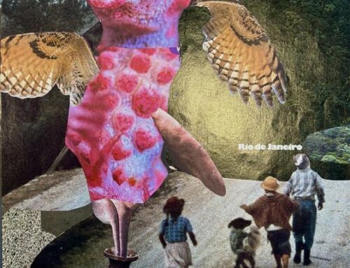 Bild des Monats Juli