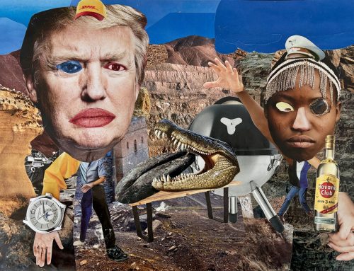 Bild des Monats Mai